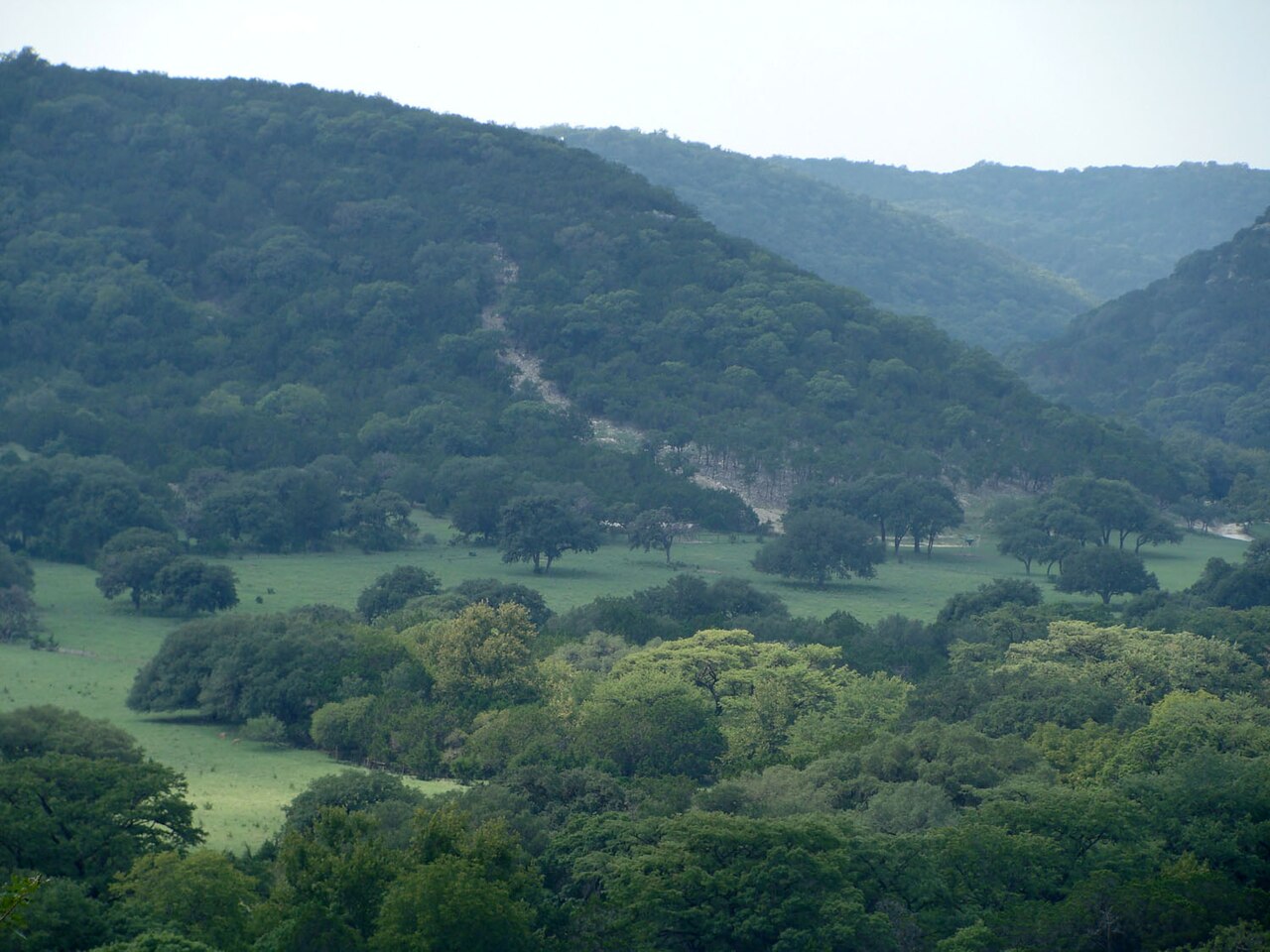 Green pasture, scattered oaks, and wooded limestone hills along Route 187 north of Garner State Park