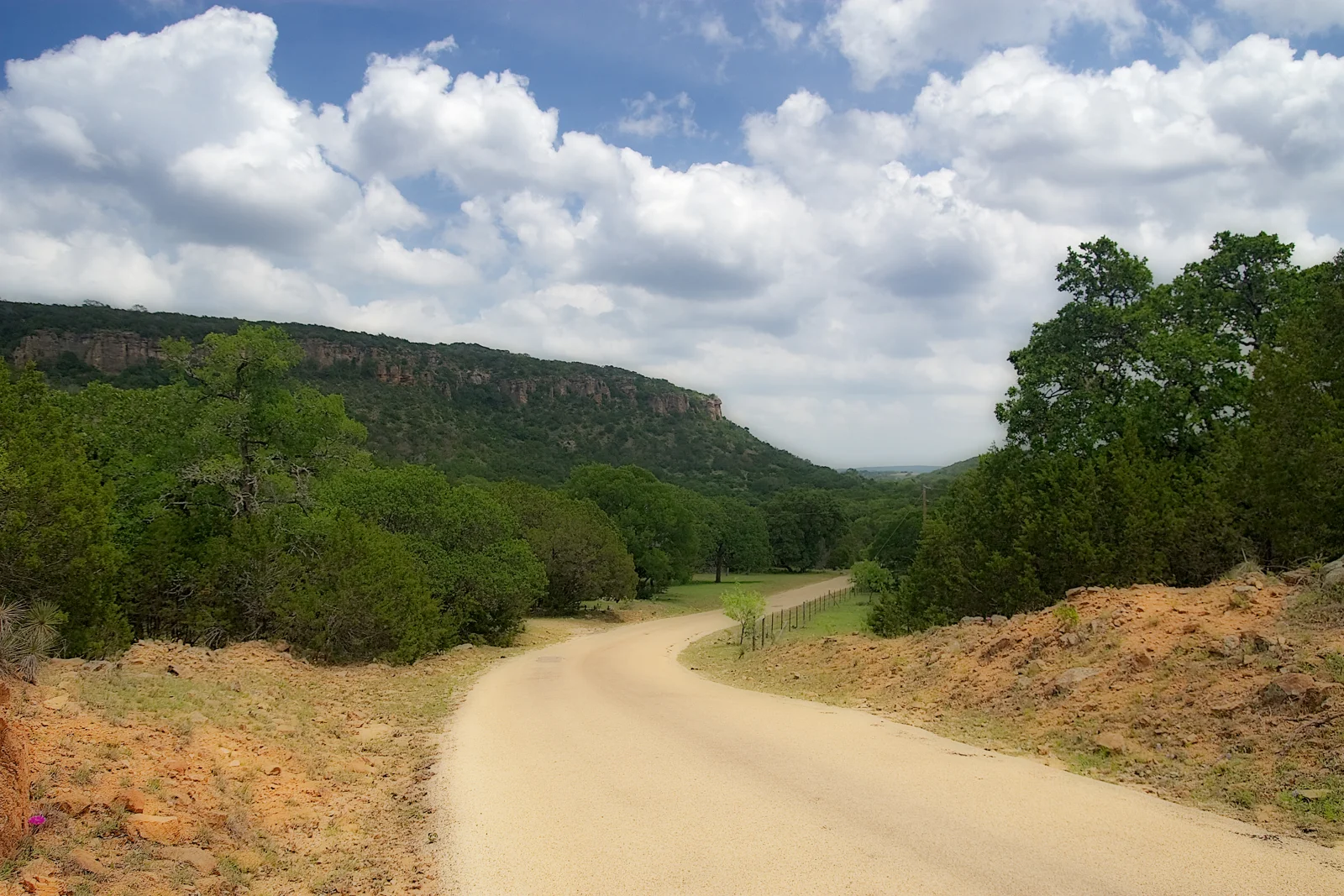 A gravel road through wooded hills and limestone bluffs on Willow City Loop near Fredericksburg, Texas